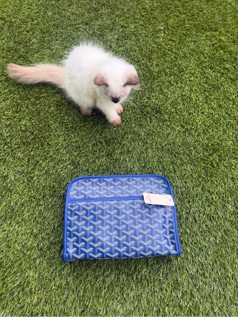 Blue Patterned Travel Pouch